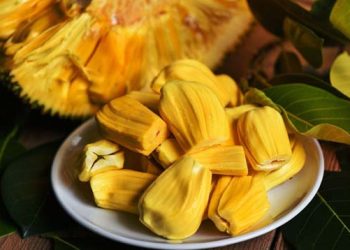 কাঁঠাল খাওয়ার উপকারিতা ও অপকারিতা